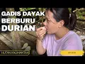 Download Lagu Gadis Dayak Berburu Durian