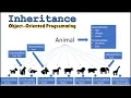 Understanding Inheritance with C OOP Lecture