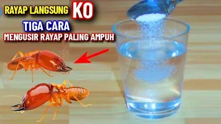 selamanya rumah aman dari rayap tiga cara paling ampuh membasmi rayap di kayu