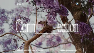 The Long Road to Brisbane Episode 4 CONNECTION