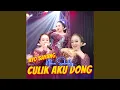 Download Lagu Ayo Sayang Culik Aku Dong