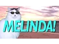 Lagu HAPPY BIRTHDAY MELINDA! - EPIC CAT Happy Birthday Song