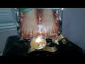 MAHA SHRI SHIVPURAN Grp10 9pm EST Saturday Rudra SamhitaChaturtha Kumar Khand Adhyaya 8