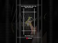 Download Lagu PRESET AM DJ ACA ACA NEHI NEHI DJ LEO REMIX X DANZZ