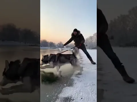 So Funny 🤣