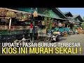 Download Lagu AKHIRNYA ! KETEMU LAGI KIOS MURAH MERIAH OBRAL KACER MURAI CUCAK IJO PASAR BURUNG PRAMUKA HARI INI 