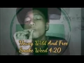 Download Lagu HASH OF HAYDAR HASH THE TOWN SMOKE WEED NEVER AND EVER