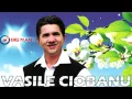 Download Lagu Vasile Ciobanu - C-am strans avere si bani