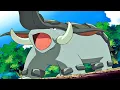 Ash s Phanpy evolves into Donphan