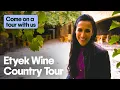We Spent the Day Sipping Wine in Budapest s Own Wine Country