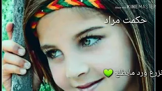 اجمل حالات واتساب نزرع ورد مايطلع 