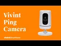 Vivint Ping Camera Talk with Just a Touch
