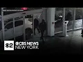 Suffolk County-based crime ring indicted