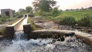 hot video alia malik water swimming viral videos
