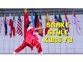 Lagu Xuwen Snake Style Kung Fu