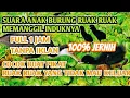 Download Lagu Suara Anak burung RUAK RUAK MEMANGGIL INDUKNYA [] Suara Anak RUAK RUAK SUARA PIKAT bird [] bird trap