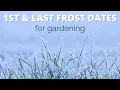How to Easily Find Your First and Last Frost Dates