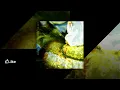 Giants' Nest - I Keep Looking for It