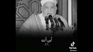 الدكتور أحمد عمر هاشم وفرح ابو لهب بمولد النبي صلى الله عليه وسلم 