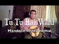 Download Lagu Tu Tu Hai Wahi - Mandolin Instrumental