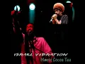 Father of the Universe (feat. Cocoa Tea) - Israel Vibration