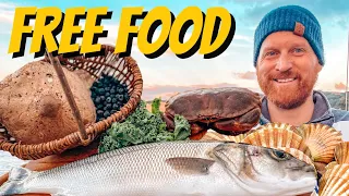 Coastal Foraging – Fish (Bass), Crab, Plus Wild Edibles & A Cook Up 😋