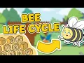 The Life Cycle of a Bee Bee Life Cycle Science for Kids