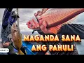 Download Lagu P2 - Maganda Sana ang Pahuli - EP1926