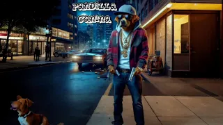 el pirata urbano