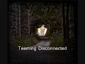 The Flashbulb - Teeming Disconnected