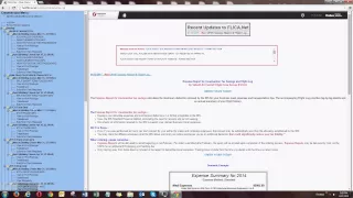 Flica Overview 1