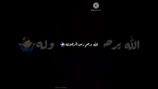 ابطال كلام  أحمد شيبه  حالات واتس دندنها