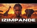 Download Lagu Izimpande – 2 Hours Of Calming Zulu African Relaxing Music For Meditation \u0026 Inner Peace.