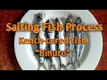 Salting fish process Kench-cured fish