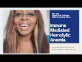 TVWYTK- Immune Mediated Hemolytic Anemia (IMHA)