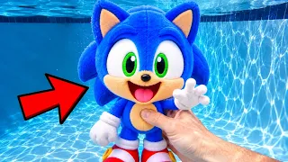 I Found EVERY BABY SONIC in My Pool!