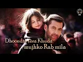 Tu Jo Mila Cover | Sarfaraz Wasim | Bajrangi Bhaijaan | Salman Khan