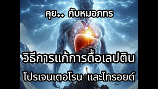 ดื้อเลปตินคืออะไร และแก้อย่างไร