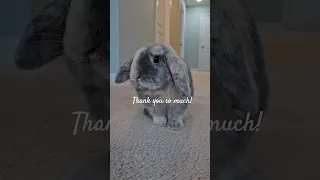 You found my channel
