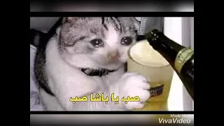 جاب في الثانوي    في الميه     دندنها