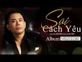 Download Lagu Sai Cách Yêu - Album 12 Ca Khúc Nhạc Trẻ Kinh Điển của Ca sĩ Lê Bảo Bình năm 2021