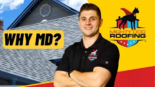Why Mighty Dog Roofing Eye On Franchising