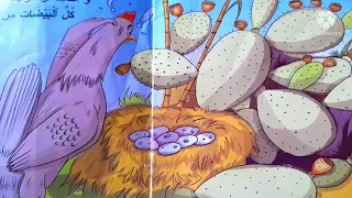 قصة الدجاجة الغبية قصص الاطفال 