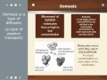 Bio Module 4 Graphic Organizer Notes