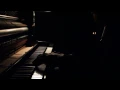 Joep Beving - Sleeping Lotus (Live Version)(Amsterdam 2015)