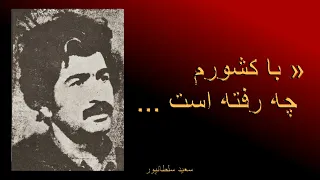 سعید سلطان  پور دندنها