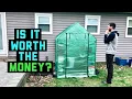 55 Mini DIY Walk In Greenhouse From Amazon Review After 3 Months is it worth the money
