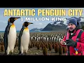 Lagu De wildste pinguïnstad van Antarctica: 10 lakh koningspinguïns 🐧👑 | Van pool tot pool, aflevering 7