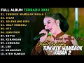 Download Lagu DANGDUT KOPLO TERBARU 2024| TUNGKEK MAMBAOK RABAH 2|🎵 NIKEN SALINDRY FULL ALBUM |