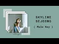 Sejeong (세정) - Skyline (Male Version)